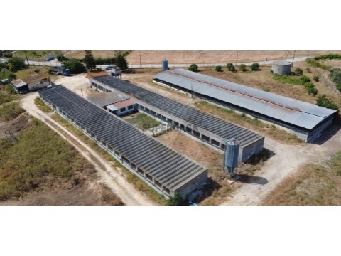 Terreno em Palmela, Palmela
