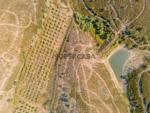 horta e barragem privada