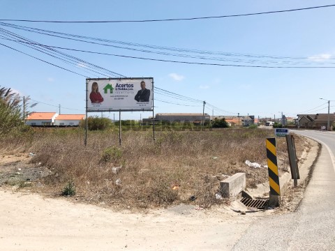 Terreno1