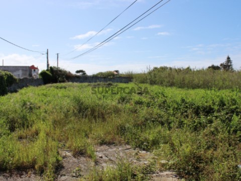 Terreno1