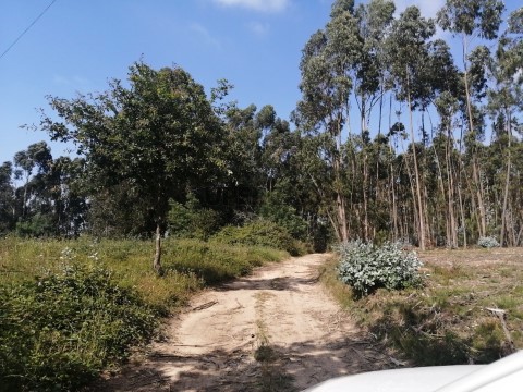Terreno Industrial em Trofa, Segadães e Lamas do Vouga, Águeda