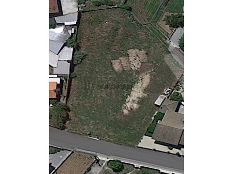 Terreno em Trofa, Segadães e Lamas do Vouga, Águeda