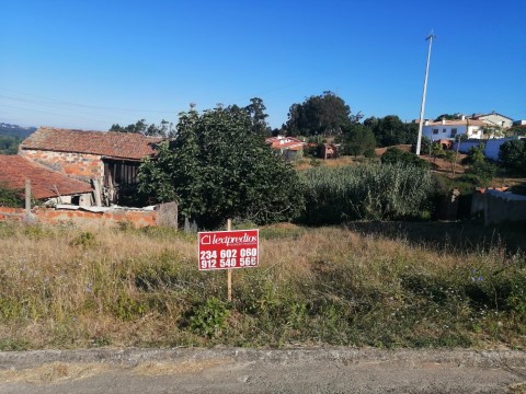 Terrain au Barrô, Águeda