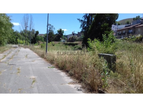 Lote em Borralha, Águeda