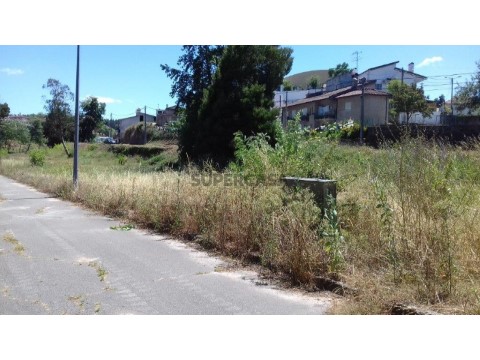 Lote em Borralha, Águeda