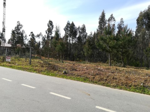 Terreno em Valongo do Vouga, Águeda
