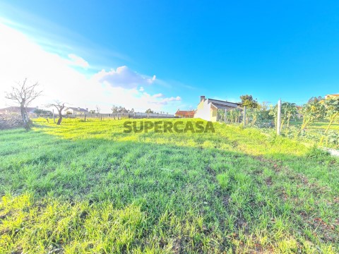 Terreno em Valongo do Vouga, Águeda