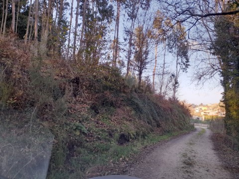 Terreno em Águeda, Águeda
