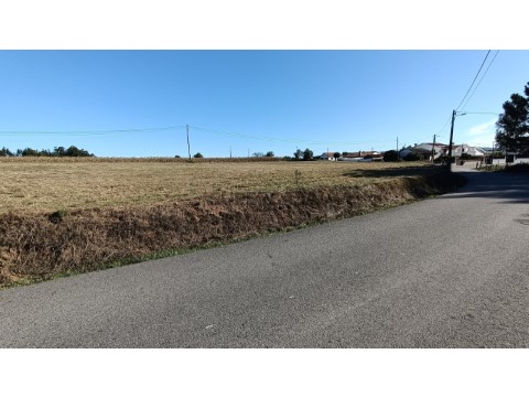 Terreno em Trofa, Segadães e Lamas do Vouga, Águeda