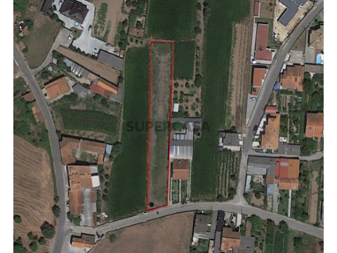 Terreno em Recardães e Espinhel, Águeda