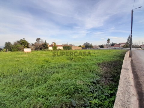 Terreno na Rua dos Olivais, Macinhata do Vouga