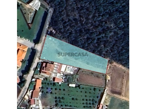 Grundstück auf Aguada de Cima, Águeda