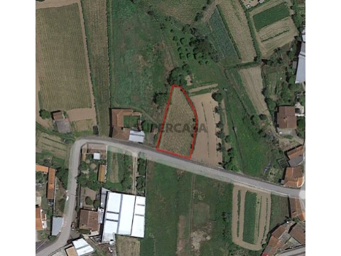 Terreno Urbano em Castanheira do Vouga, Águeda