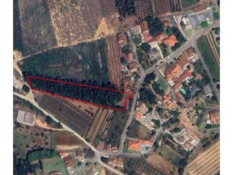 Terrain au Agadão, Águeda