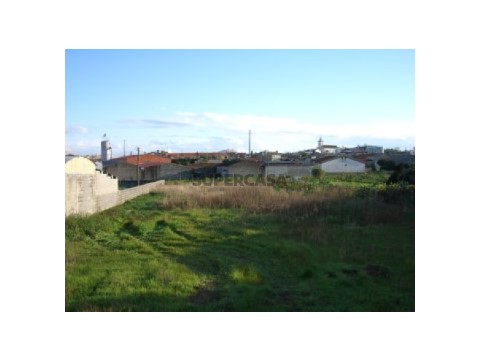 terreno 1
