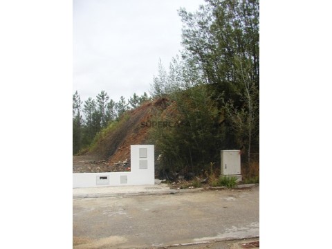 Terreno8
