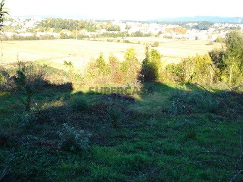 terreno 1 (10)