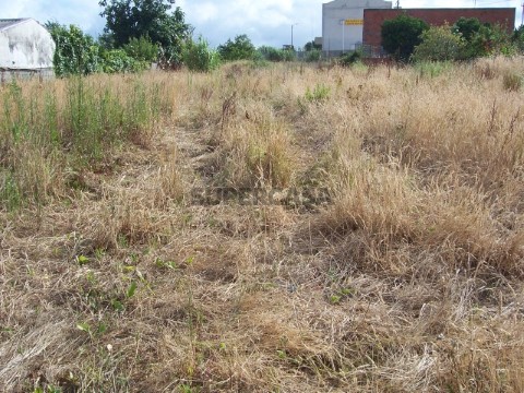 Terreno