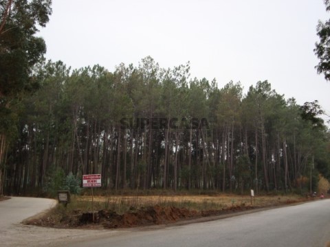 terreno (5)