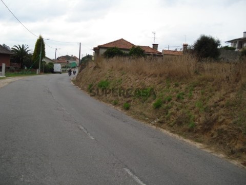 Frente (2)