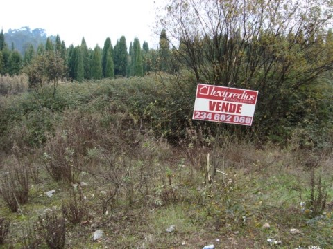 terreno (3)