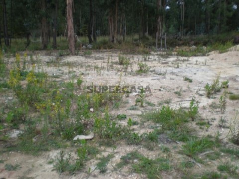 terreno (4)