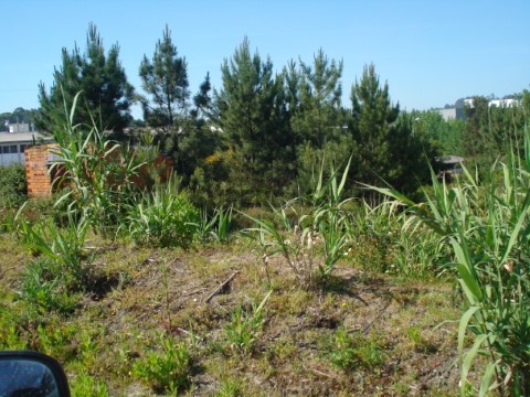 terreno (2)