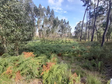 Terreno em Fermentelos, Águeda