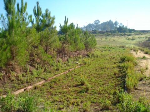 terreno (2)