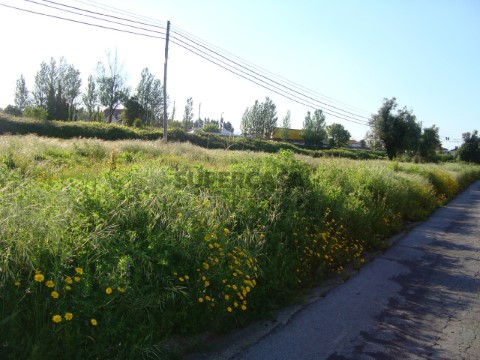 terreno (1)