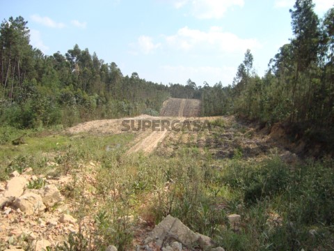 terreno