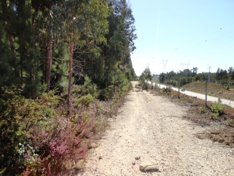 terreno (2)