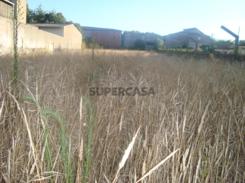 Terreno (2)
