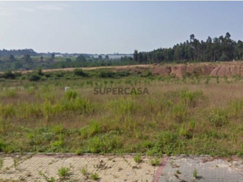 Lote em Valongo do Vouga, Águeda