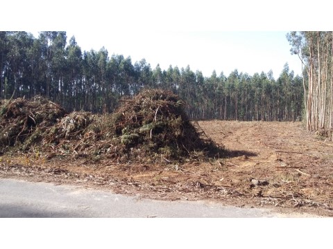 Terreno em Aguada de Cima, Águeda