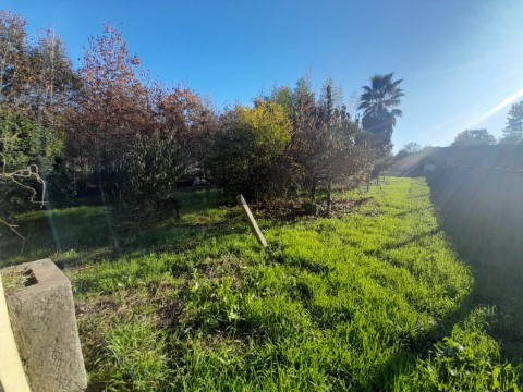 Terreno em Recardães e Espinhel, Águeda
