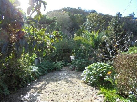 DSC00410