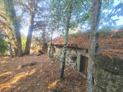 Casa de Campo em Caminho Central do Pinheiro de Cima, Couto