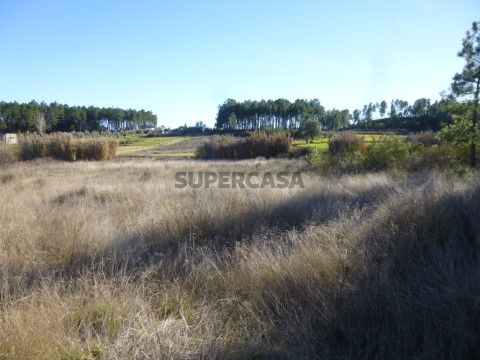Terreno rustico