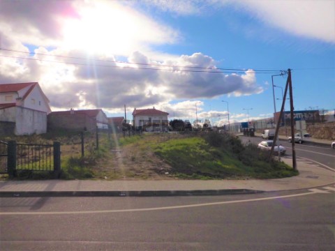 Terreno moradia Castelo Branco