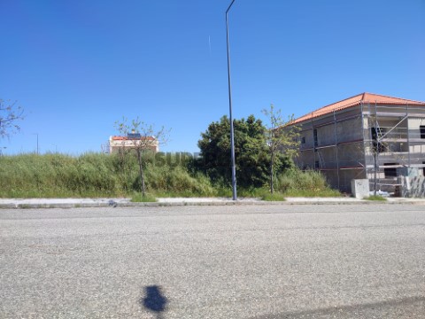 Grundstück auf Rua Professor Amélia de Jesus Silva, Castelo Branco