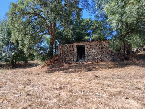 Quinta em Póvoa de Rio de Moinhos e Cafede, Castelo Branco