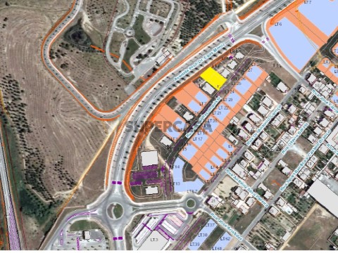 Lote 9 , Forum Castelo Branco