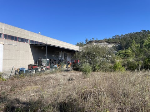 terreno rustico