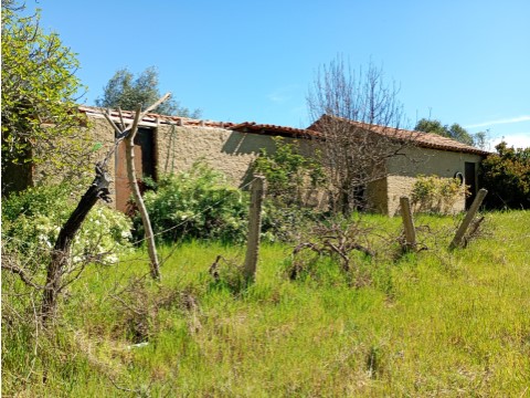Quinta T1 na Rua do Olival, Freixial e Juncal do Campo