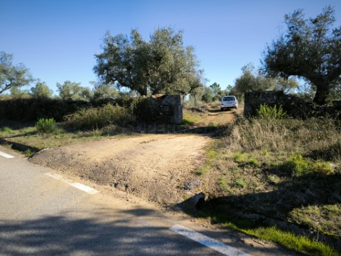 Entrada