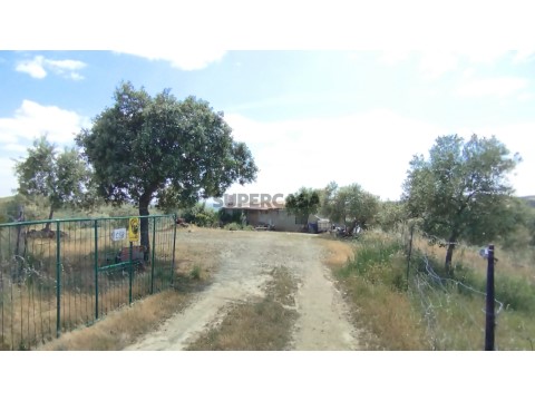 Quinta Castelo Branco