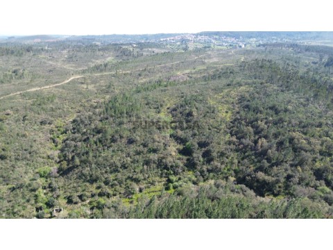 DJI_0150