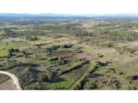 DJI_0176