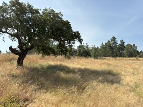 Terreno